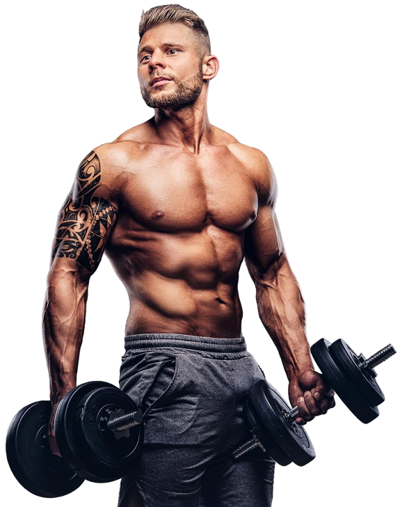 bodybuilder